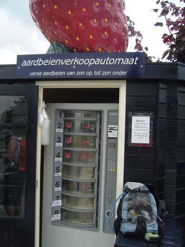 distributeur automatique de fraises!!mmmh dégustez!!