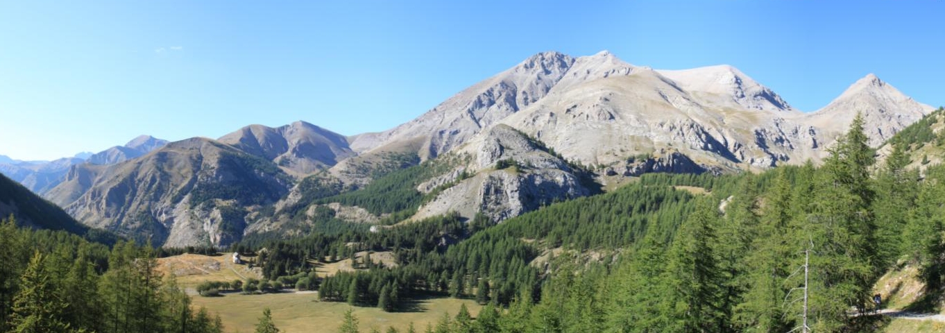 Panorama du mont pela (alpes)