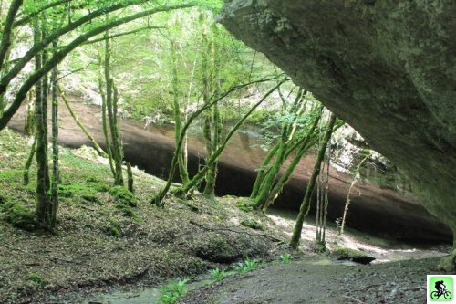 Grotte dans la forêt
