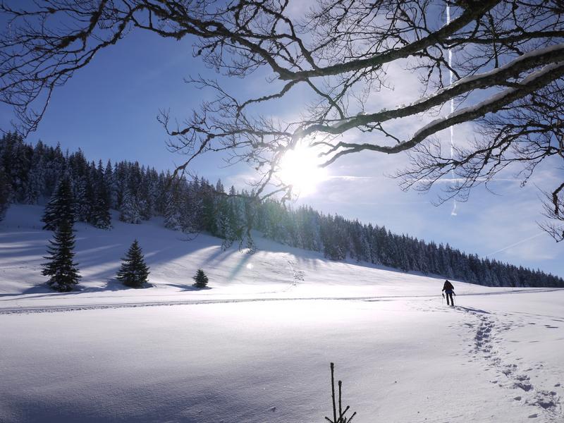 Raquette dans la neige et le soleil dans le massif du jura