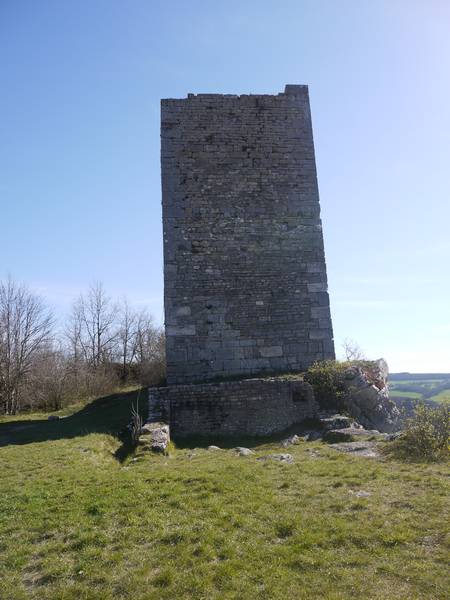 La tour de montferrand le château 