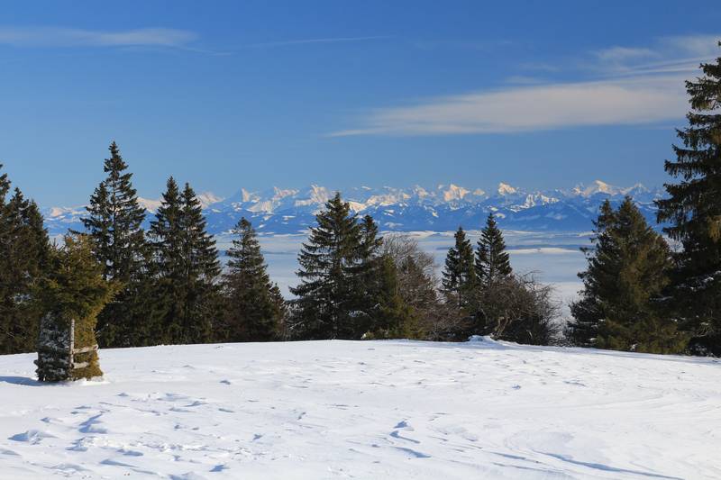 Panorama sur le Mont blanc depuis le jura